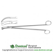 Rectal Scissor Curved - Heavy Pattern , 32.5 cm - 12 3/4"